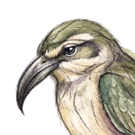 Lonely Bird